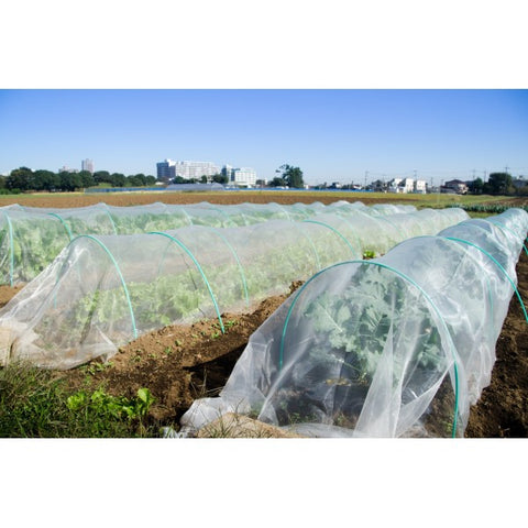 Garden Insect Netting Screen - 20 Mesh - Choose Your Size