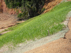 Straw Erosion Control Blanket